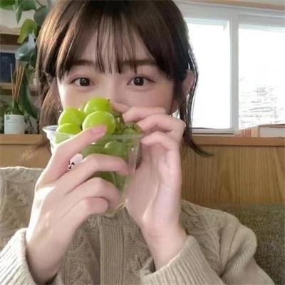 柠檬仙丹